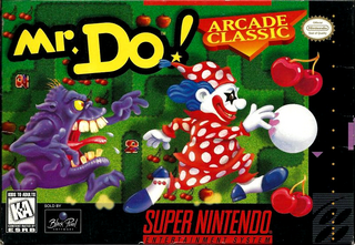Mr. Do!